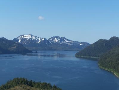 Picture from the Lodge